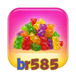 br585